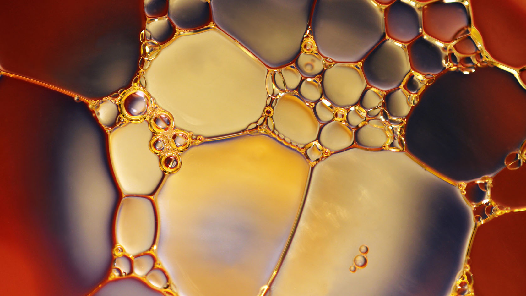 Buddha Wood Oil