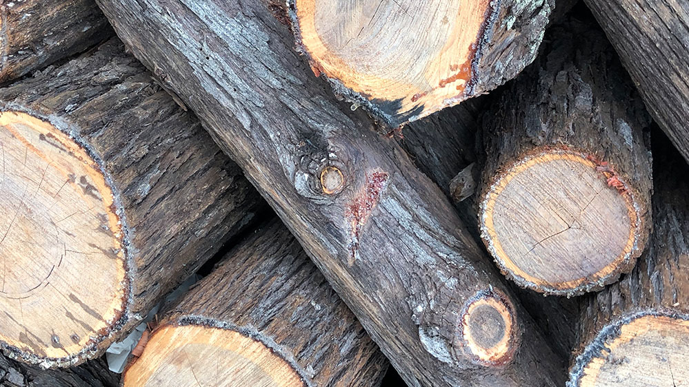 Australian White Cypress Oil